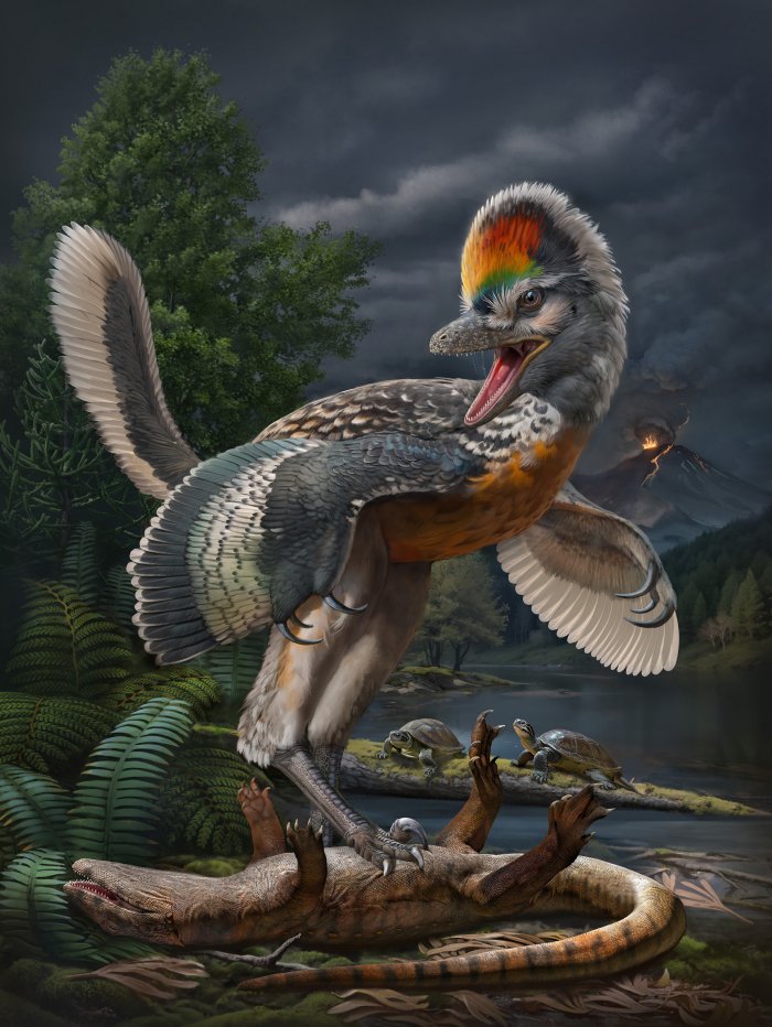 New Fossil Link In Bird Evolution Discovered