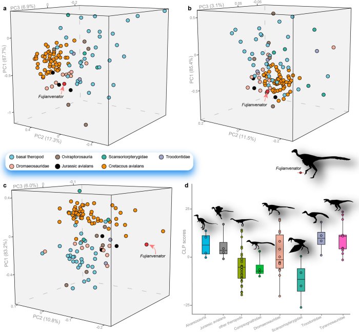 New Fossil Link In Bird Evolution Discovered