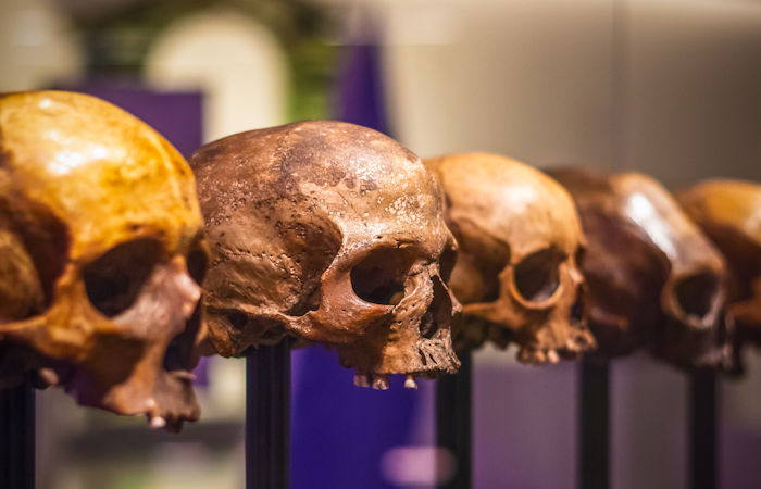 Exploring Future Evolution: How Will Humans Change In The Next 10,000 Years?