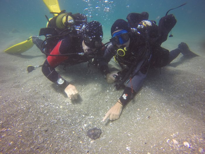 Roman Ship Cargo And Galley Equipment Discovered Underwater In The Caesarea Harbor