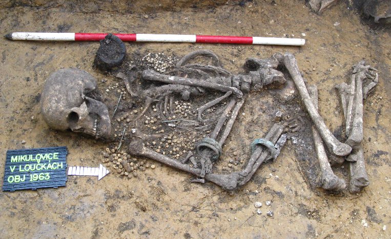 Richly endowed Early Bronze Age burial from Bohemia, Czech Republic. Credit: Michal Ernée