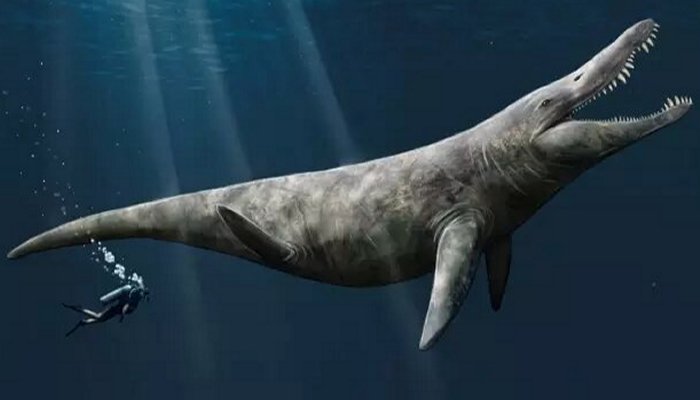 An artist’s impression of the pliosaur. Credit: Megan Jacobs, University of Portsmouth