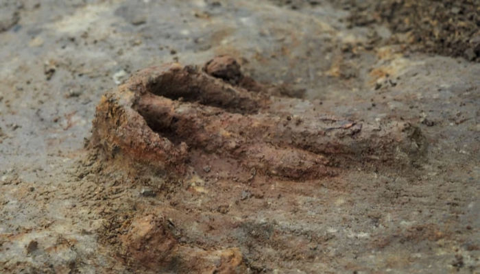 Archaeologists Reveal 12 Exciting Finds From The Gjellestad Viking Ship Dig