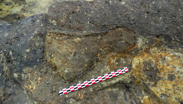 Archaeologists Show 12 Exciting Finds From The Gjellestad Viking Ship Dig