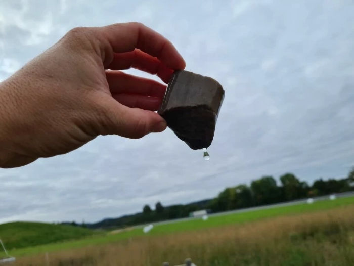 Archaeologists Reveal 12 Exciting Finds From The Gjellestad Viking Ship Dig