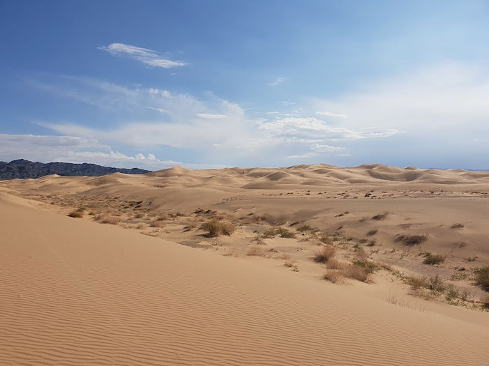 15,000-Year-Old Petroglyphs Discovered In The Gobi Desert May Be Evidence Ancient Turks Visited Mongolia - Expert Says