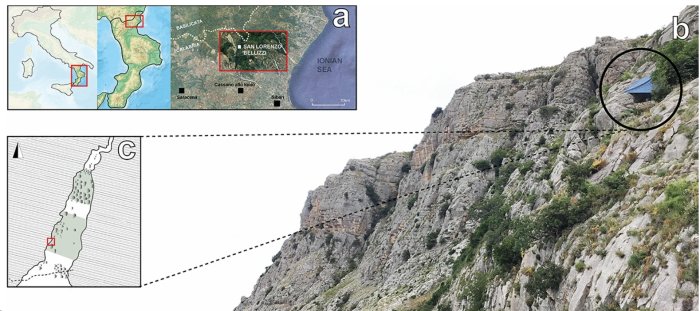 Unusual Neolithic Burial From Grotta Di Pietra Sant' Angelo Puzzles Archaeologists