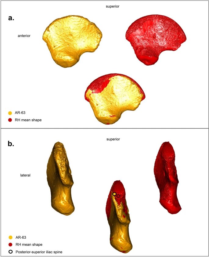 Remains Of An Unknown Human Lineage Discovered In The 