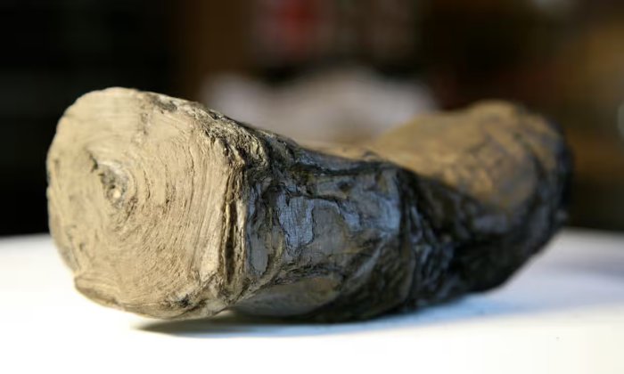 Major Breakthtrough - Ancient Herculaneum Scroll Deciphered For The First Time