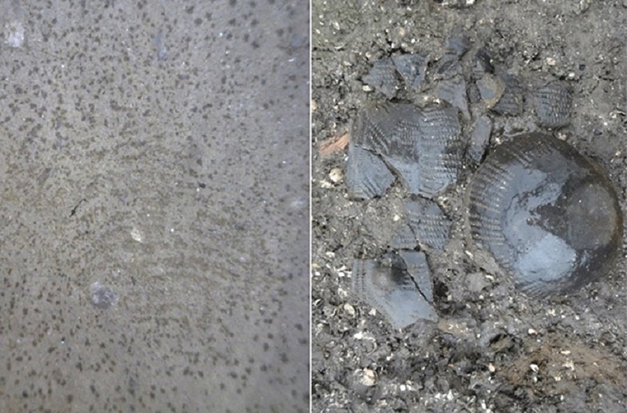 Left: The 5,500-year-old fingerprint and Right: the funnel beaker as it was unearthed. Credit: Line Marie Olesen/Museum Lolland-Falster.