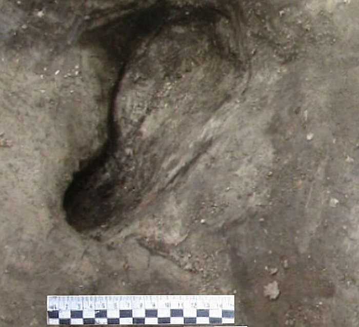 Potential hominin footprint discovered in Schöningen 13 II-2 Untere Berme. Credit: University of Tübingen