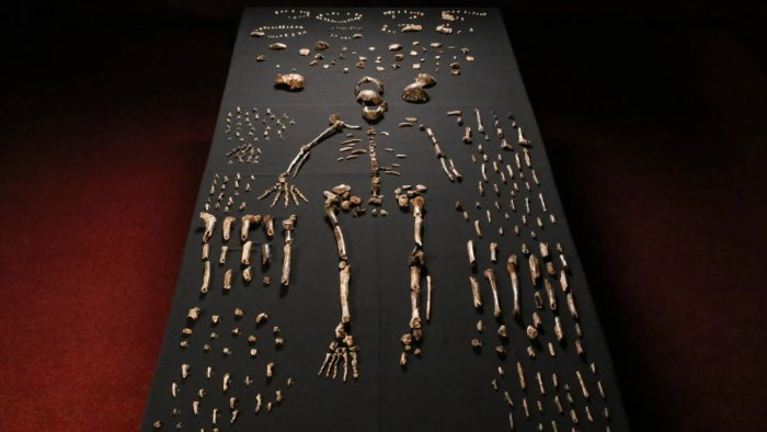 World's Oldest Burial Site Reveals Homo Naledi Buried Their ᴅᴇᴀᴅ 100,000 Years Before Humans