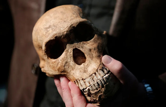 Surprising Evolution Discovery - Extinct Subterranean Human Species With Tiny Brains Used Fire