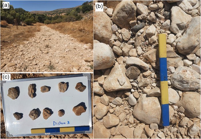 Dishon stream. Flint pebbles sampling location 3 (Figure 1): D3. (a) Sampling location, view from the east; (b) flint pebble within streambed, left of the scale. Scale = 40 cm; (c) largest pebbles collected from the streambed.