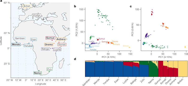 Different Approach Gives New Understanding Of Human Evolution In Africa 