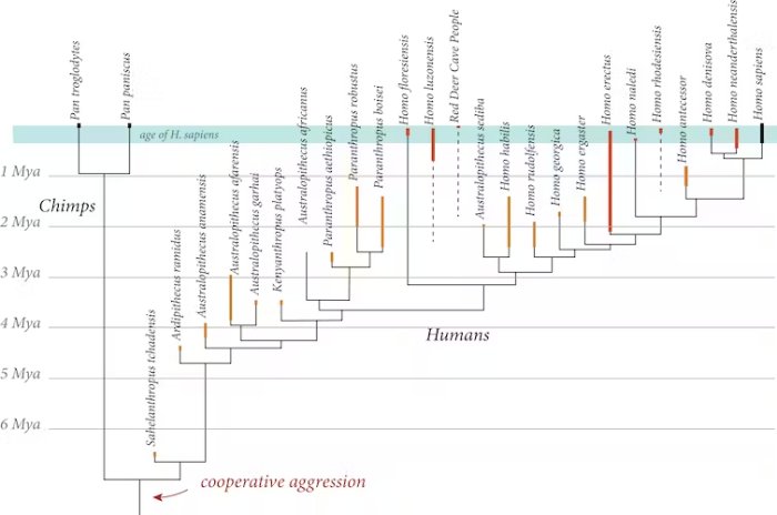 Were Other Humans The First Victims Of The Sixth Mᴀss Extinction?