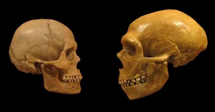 5 Surprising Things DNA Has Revealed About Our Ancestors