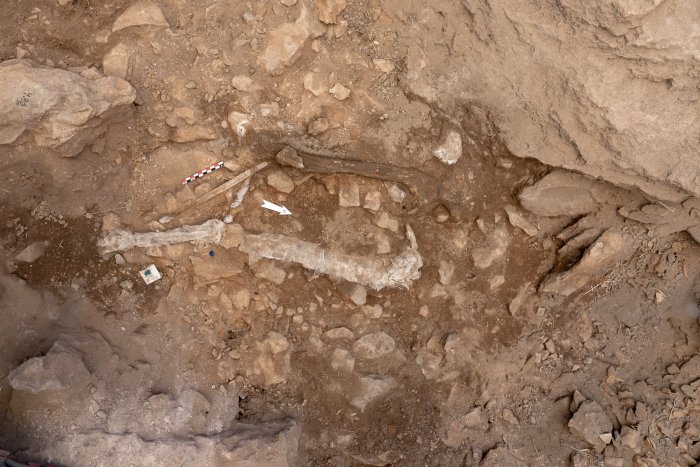 Rare Upper Paleolithic Human Remains Discovered In The Iberian Peninsula