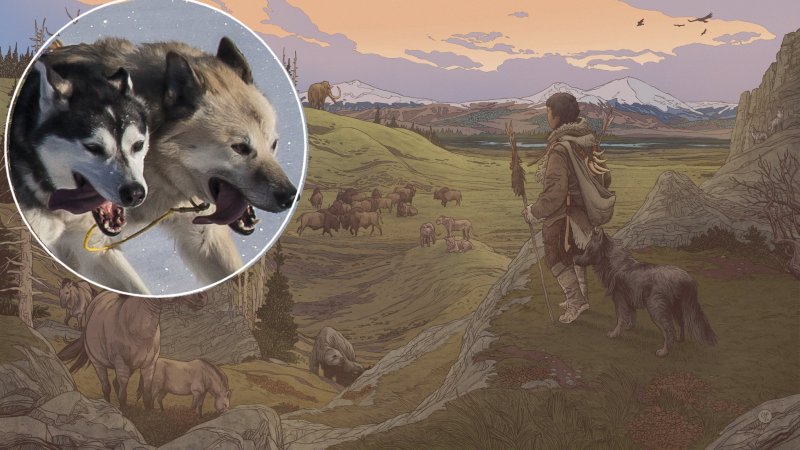 Early settlers in the Americas were accompanied by their dogs. Credit: Ettore Mazza