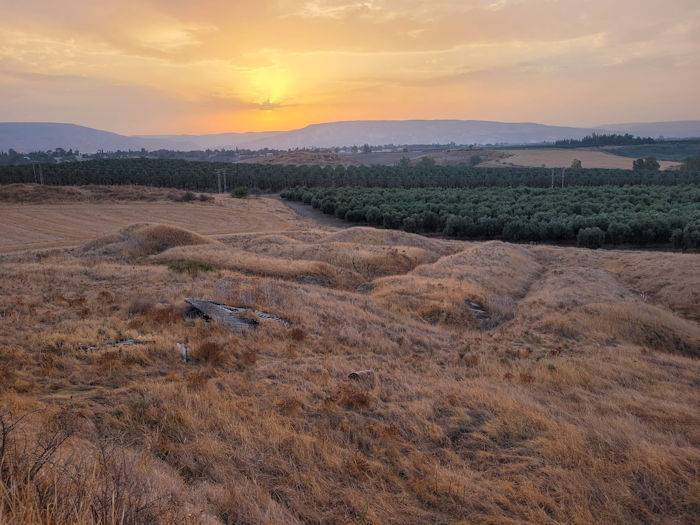 1.5 Million-Year-Old Human Vertebra Discovered In Israel's Jordan Valley Sheds New Light On Migration From Africa To Eurasia