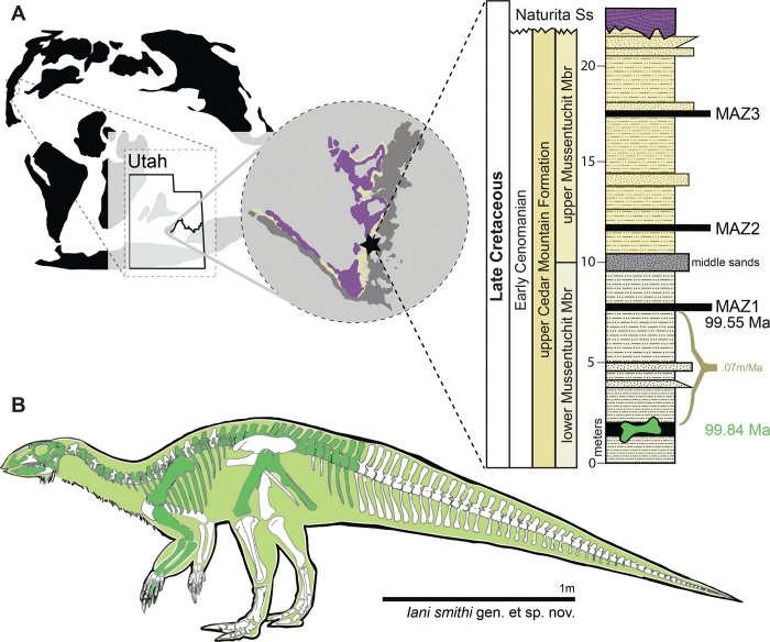 Newly Discovered Dinosaur, 'Iani,' Was Face Of a Changing Planet