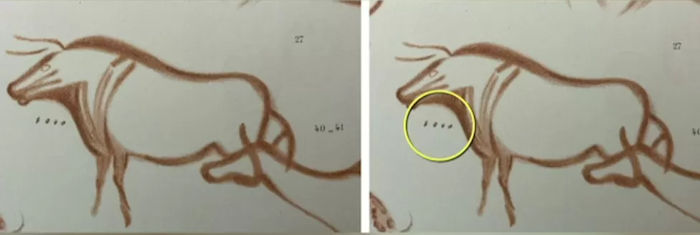 Cryptic Ice Age Markings In European Caves Deciphered - Proto-Writing Discovered By Amateur Archaeologist