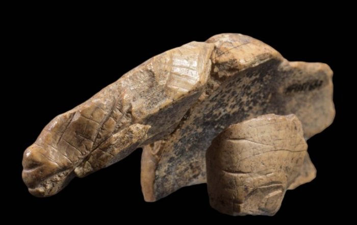 Curious Ice Age Figurine Of Unidentified Animal Species Puzzles Scientists