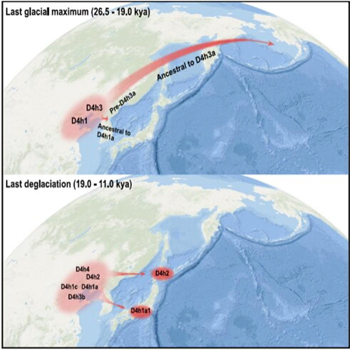 DNA Evidence Ice Age Humans Migrated From China To The Americas And Japan