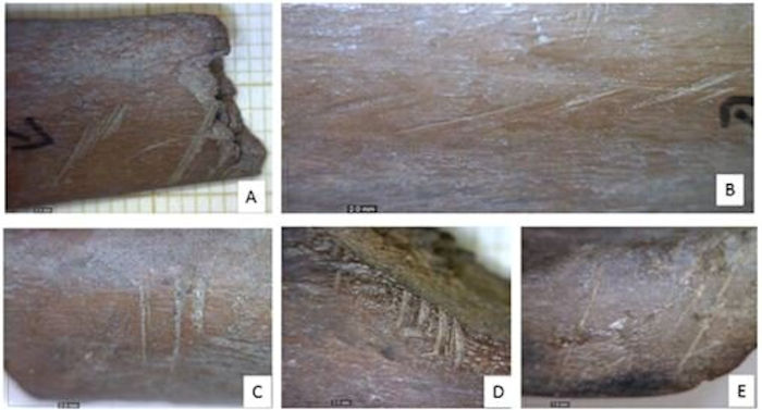 Survivors Of The latest Ice Age Thrived Near The Sea Of Galilee 23,000 Years Ago