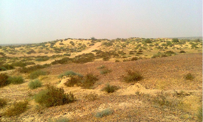 The Ganweriwala settlement is located in the desert and was discovered around 40 years ago but because of logistics and several other problems only few archaeologists visited it. This thesis is the first systematic study about its size, topography, artefacts and its environment. Credit: University of Gothenburg