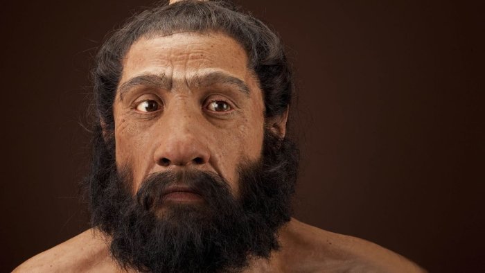 Homo neanderthalensis adult male. Reconstruction based on Shanidar 1 by John Gurche for the Human Origins Program, NMNH. Credit: Chip Clark.