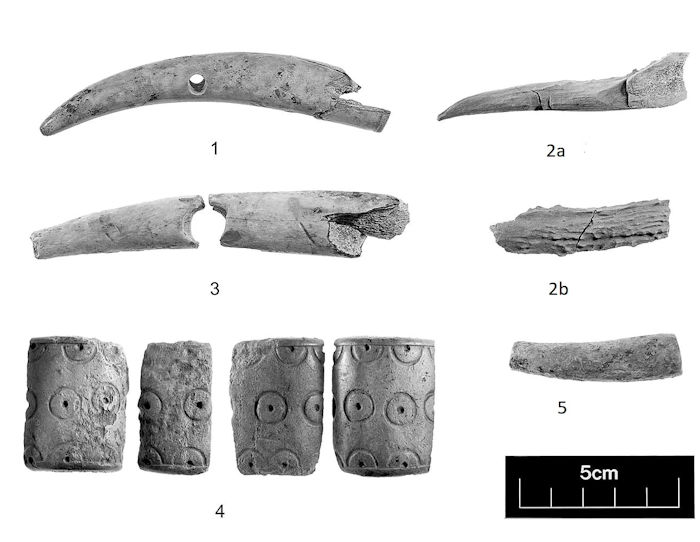 Dazzling Time Capsule Of Unique Iron Age Artifacts And Celtic Roundhouses Discovered In England