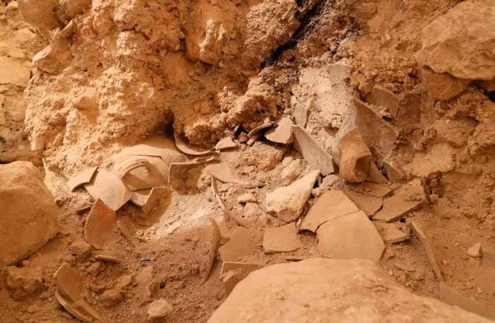 Jars With 2,600-Year-Old Vanilla Remnants Discovered In The City Of David