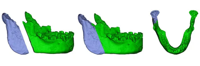 Enigmatic Human Fossil Jawbone May Be Evidence Of An Early Homo Sapiens Presence In Europe