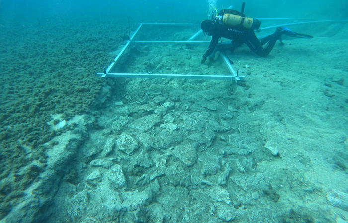 7,000-Year-Old Underwater Road Discovered In Adriatic Sea Off Korcula