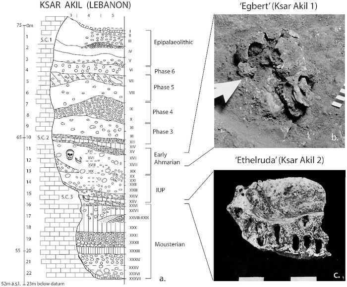 Re-Discovered Ancient Ksâr 'Akil Fossils Shed New Ligh On Human Evolution