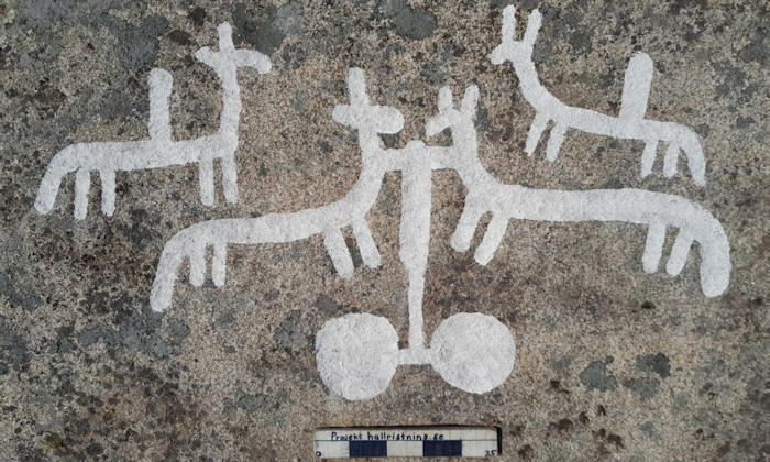 Never-Before-Seen Huge Ancient Petroglyphs Discovered In Kville, Bohuslän, Sweden