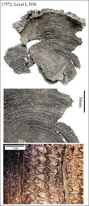 Underwater Discovery Of Rare Neolithic Textiles And Dwellings Near Rome