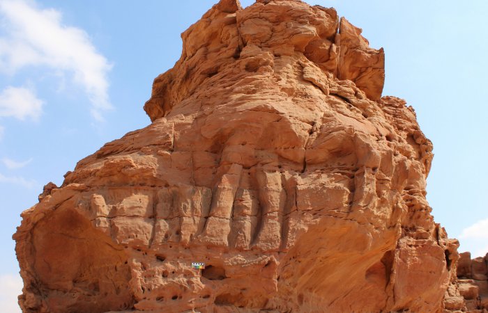 Unique Life-Sized Camel Carvings In Northern Arabia Are Much Older Than Previously Thouhgt