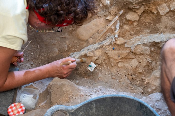 3D Models Used To Study Linya, The Prehistoric Woman Who Lived 14,000 Years Ago In Pyrenean Foothills