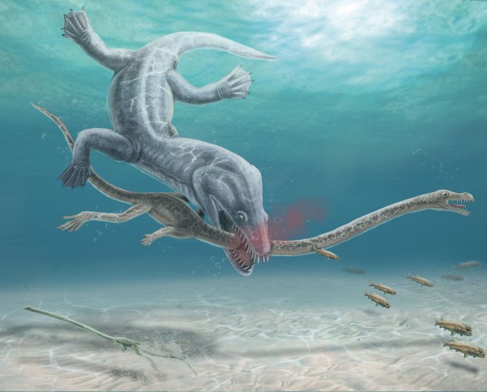 Long-Necked Reptiles Were Decapitated By Their Predators, Fossil Evidence Confirms