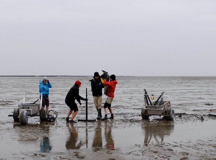 The researchers use sediment cores to record settlement remains and to reconstruct landscape evolution at selected sites on the tidal flats. (photo/©: Justus Lemm)