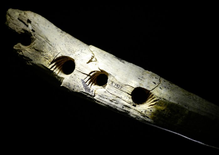 35,000-Year-Old Mammoth Ivory Tool Offers Evidence Of Ropemaking In Central Europe