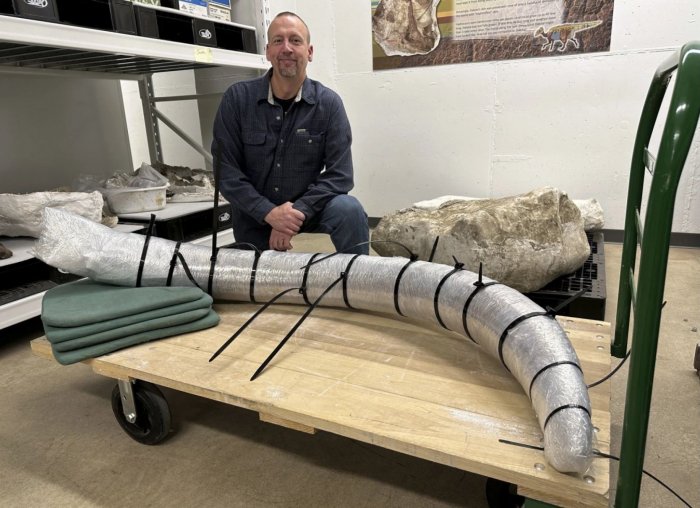 Large Mammoth Tusk And Bones Buried For Thousands Of Years Found In North Dakota