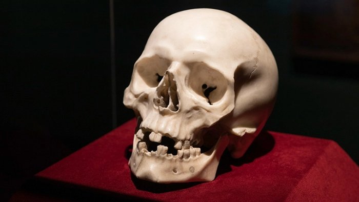 SKD, Foto: Oliver Killig Gian Lorenzo Bernini, Skull, 1655