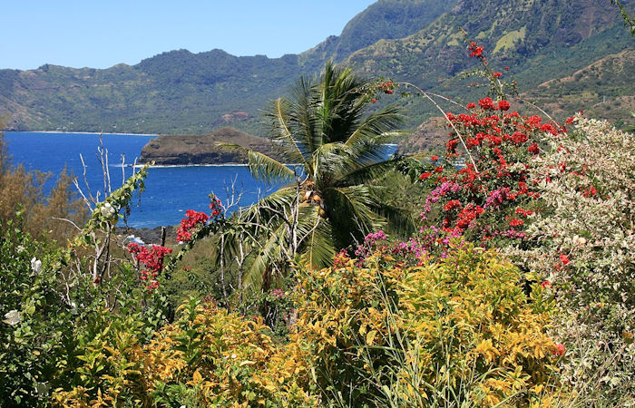 Reconstructing The Lost Ancient World Of The Marquesas Islands With Unique Plants And Animals