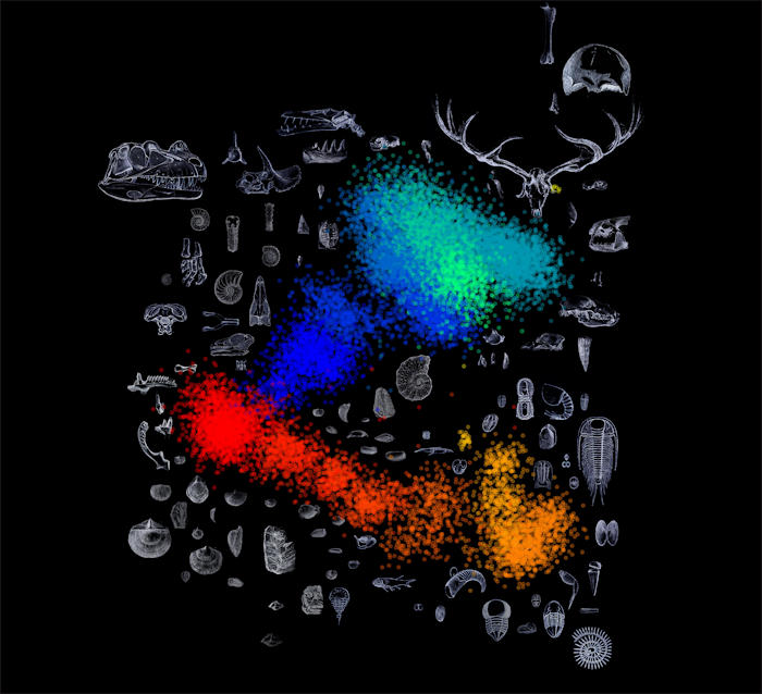 Surprising Patterns In Earth's Biological Mᴀss Extinctions Detected By AI