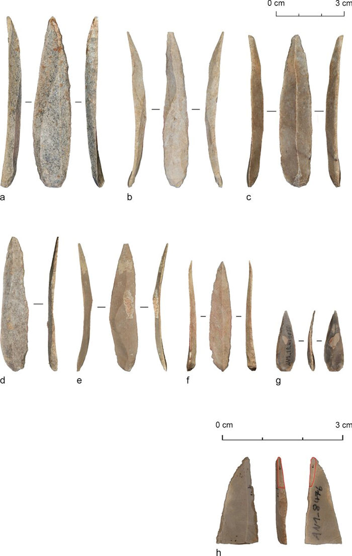 Mass Production Of Stone Bladelets Led To A Cultural Shift In Paleolithic Levant