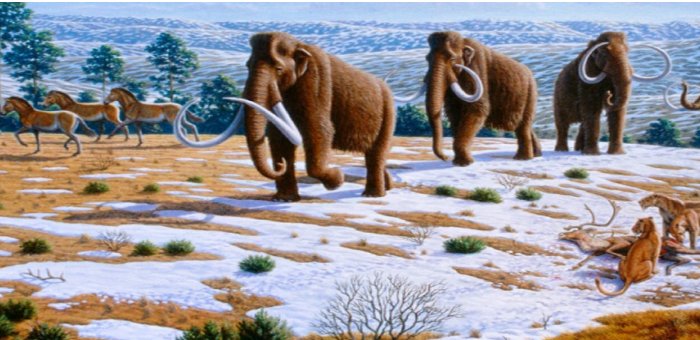 Study: Paleo-Americans Hunted Mastodons, Mammoths And Other Megafauna In Eastern North America 13,000 Years Ago