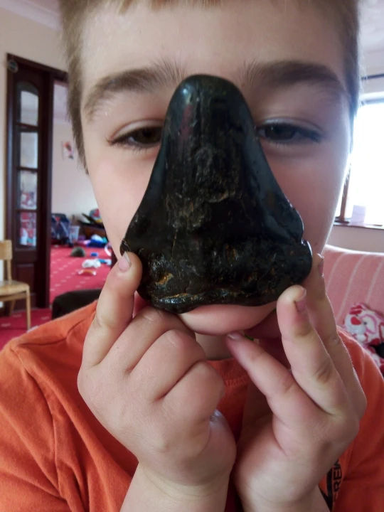 Schoolboy Finds A Huge 3,000,000-Year-Old Megalodon Shark Tooth On British Beach